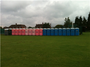 Row of black, pink and blue portable toilets for hire